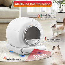 Load image into Gallery viewer, Famistar Self Cleaning Cat Litter Box, Automatic Litter Box Smart Scooping and Odor Removal, APP Remote Control, Support 2.4G WiFi for Multiple Cats, 2 Rolls of Garbage Bags Free Gift